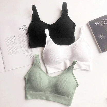 Seamless Sports Bra (Pack of 3)